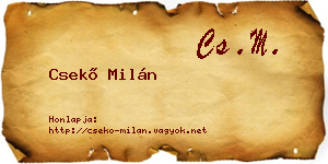 Csekő Milán névjegykártya